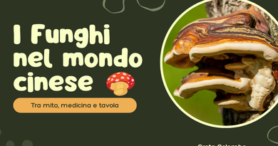Lunedì 26 ottobre – i funghi nel mondo cinese