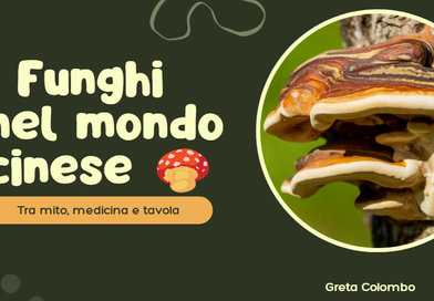 Lunedì 26 ottobre – i funghi nel mondo cinese